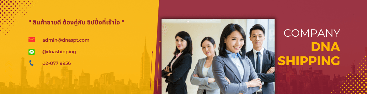 slide company profile