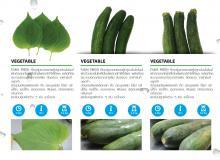 product-3