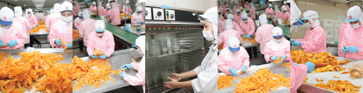 slide company profile