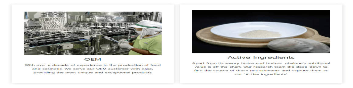 slide company profile