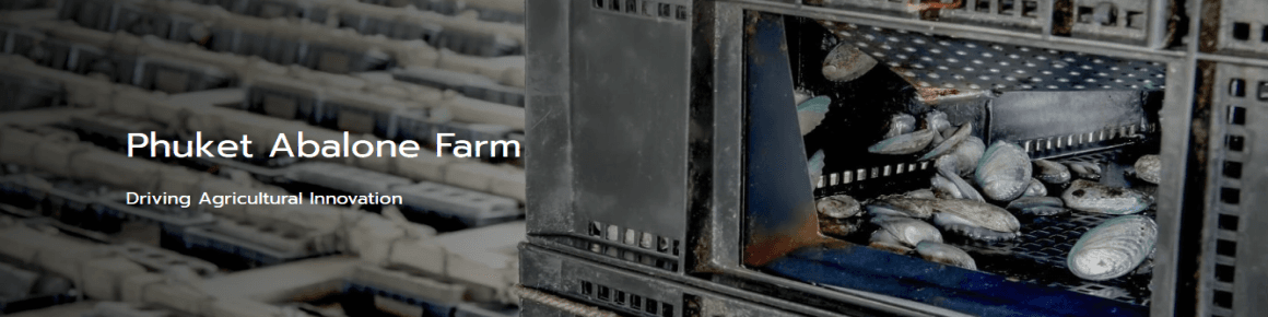 slide company profile