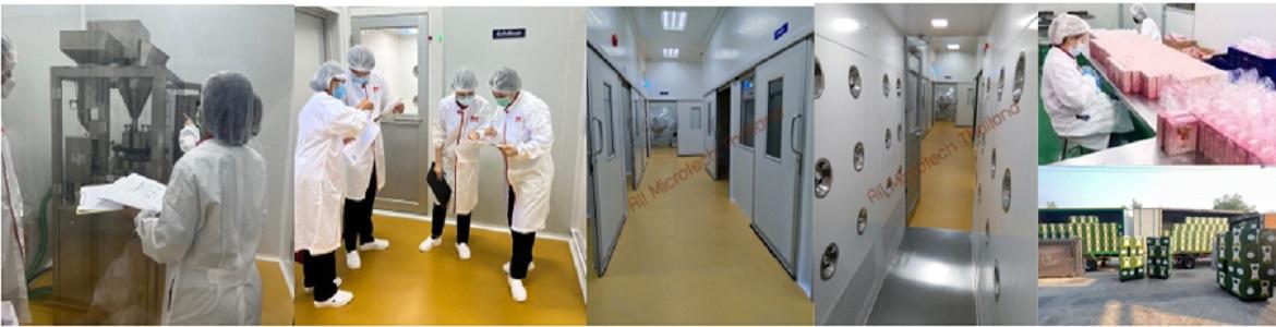 slide company profile