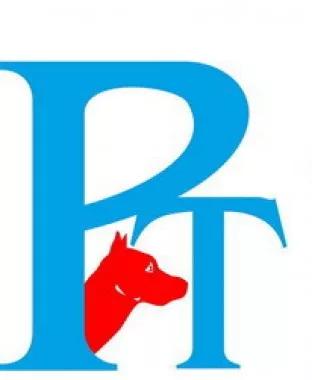 company-image