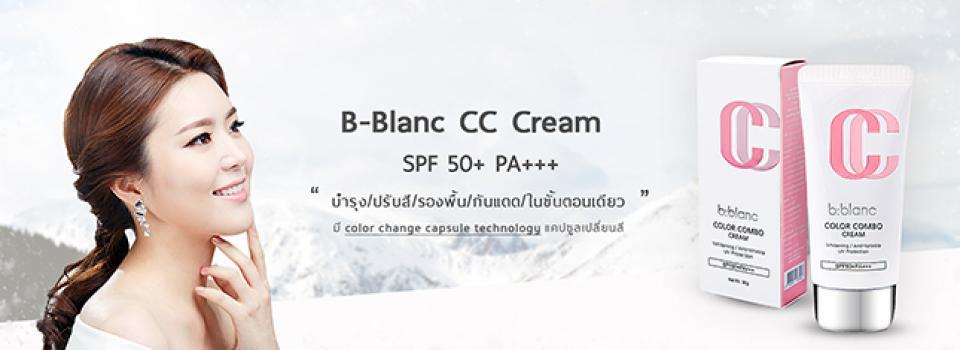 slide company profile
