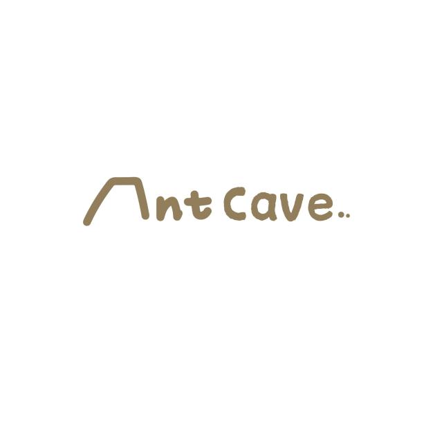 Blue Ant Cave CO.,LTD