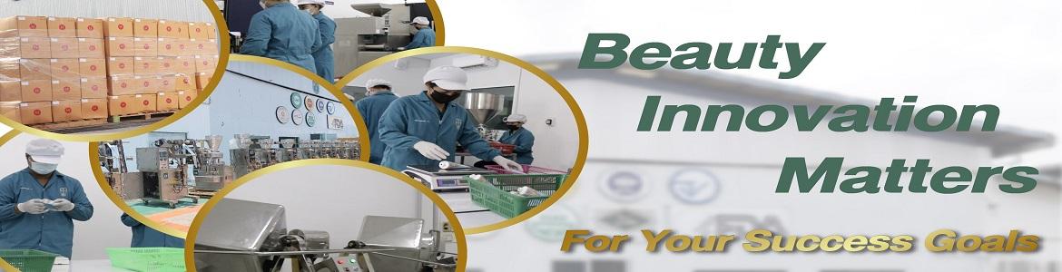 slide company profile