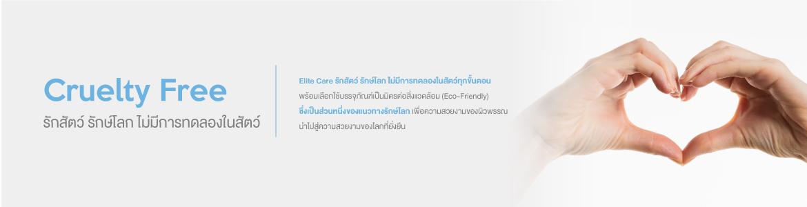 slide company profile