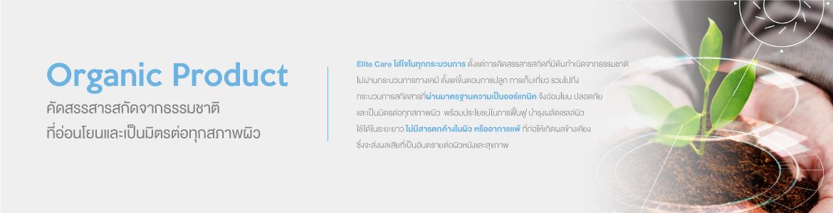 slide company profile