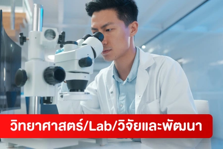 หางาน,สมัครงาน,งาน Sciences/Lab/R-D HOT CAREER