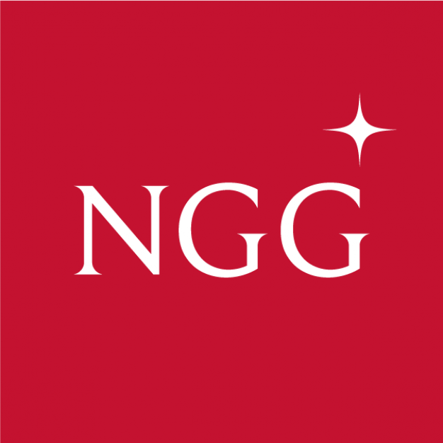 ิิ้ร้าน NGG ห้างเพชรทอง ง้วนเซ่งเฮง เยาวราช จำกัด
