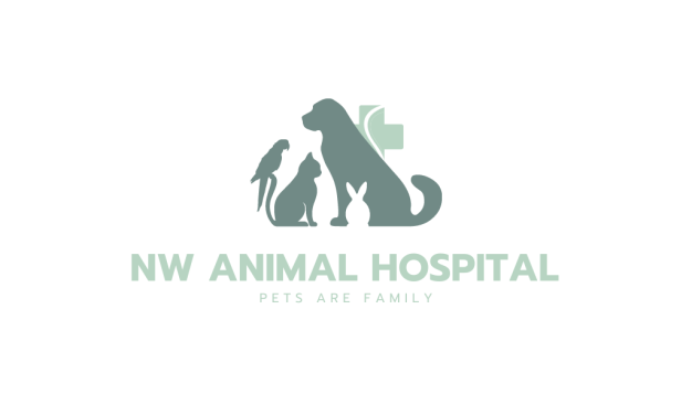NW Animal hospital NW Animal hospital
