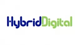 Hybrid Digital