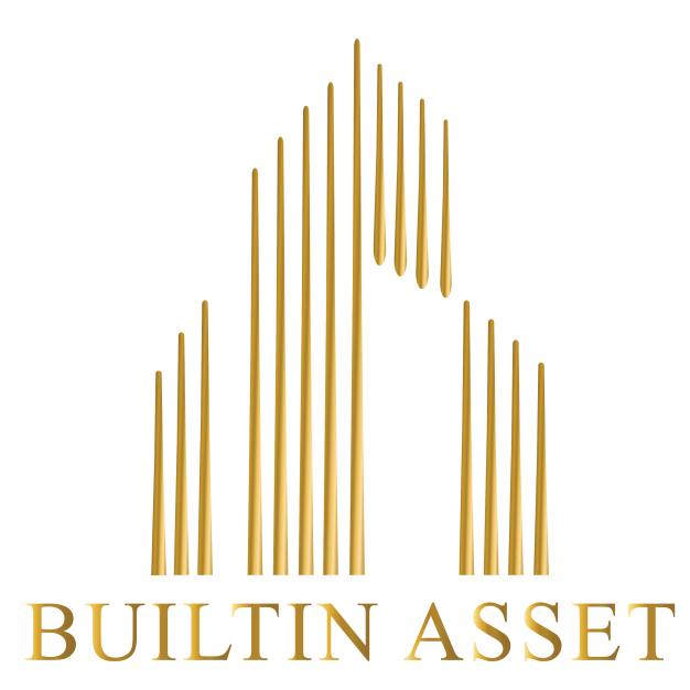 BUILTIN ASSET BUILTIN ASSET