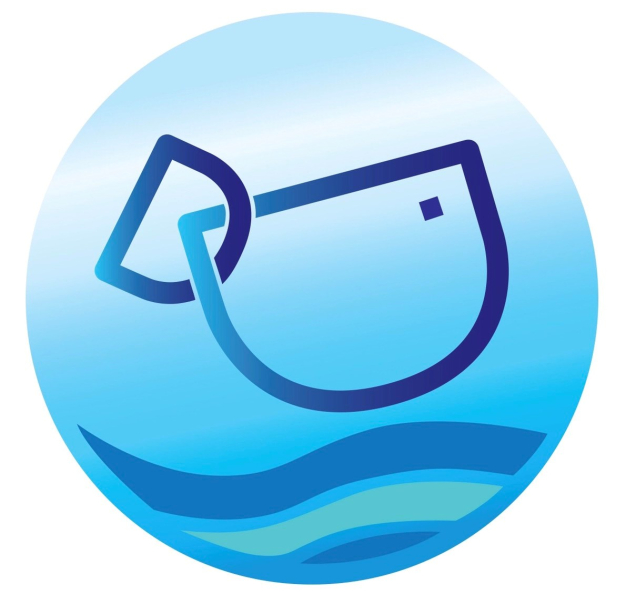 บริษัท ดีดี ฟู้ดแอนด์โฟรเซ่น จำกัด