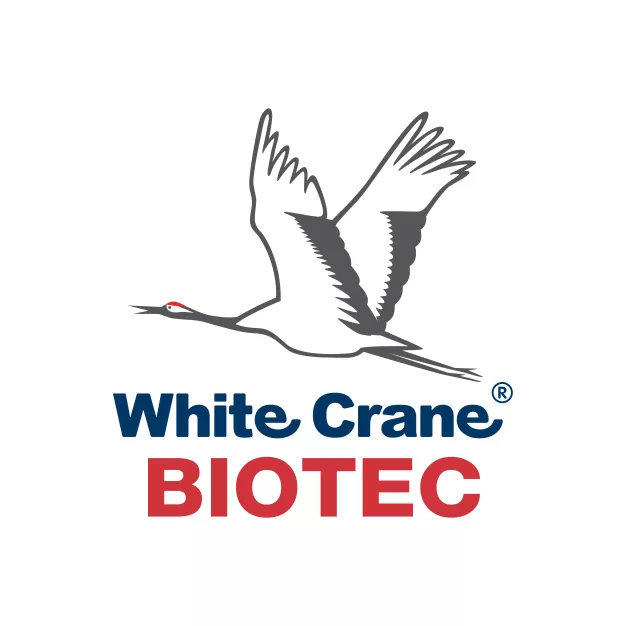 ไว้ท์เครน (วี.88) อะควาเท็ค ไว้ท์เครน (วี.88) อะควาเท็ค