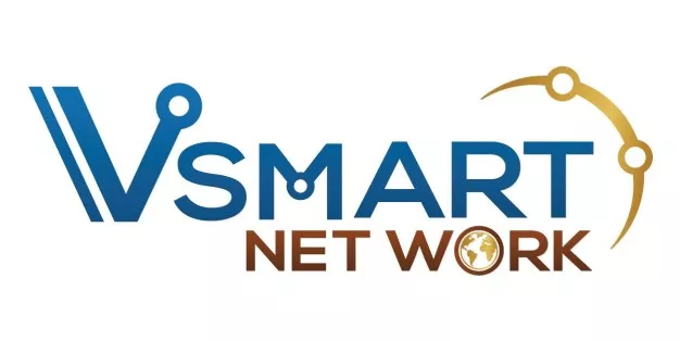 V SMART NETWORK CO.,LTD