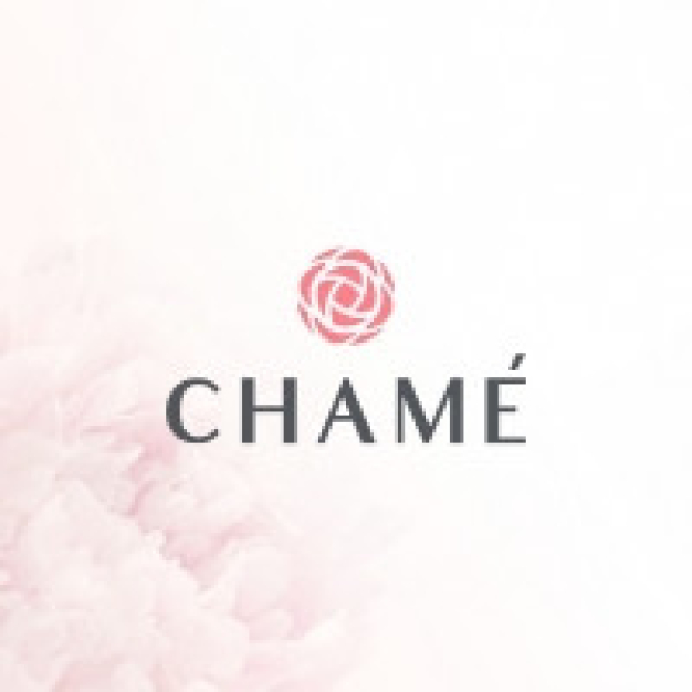 Accounting & Financial Manager ชาเม่ จำกัด มหาชน