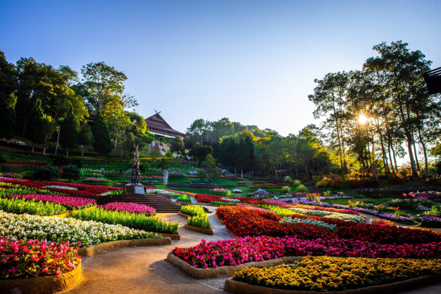 ไผ่หยกการบัญชี