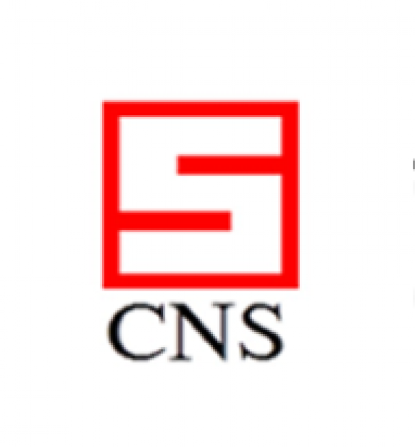 CNS ENGINEERING SERVICE COMPANY LIMITED