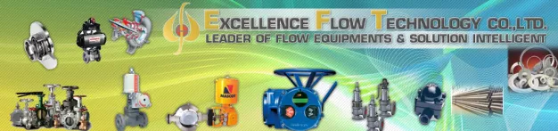 Excellence Flow Technology Company Limited