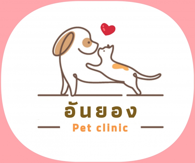 Annyeong pet clinic (อันยอง เพ็ท คลินิก)
