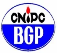 BGP Inc., China National Petroleum Corporation