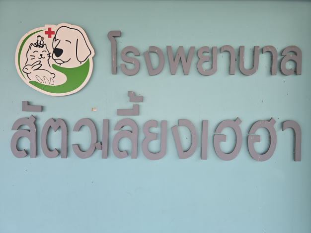 ผู้ช่วยสัตวแพทย์ Heyha Animal Clinic