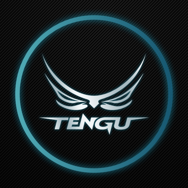 บริษัท เทนงูเกมมิ่งเกียร์ จำกัด