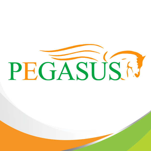 รับสมัครด่วน Sales (ดูแลลูกค้ากลุ่มราชการ) บริษัท พีกาซัส อินเตอร์ โลจิสติคส์ จำกัด
