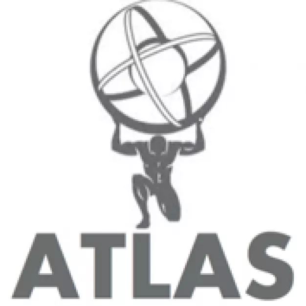 Atlas Commercial Consulting
