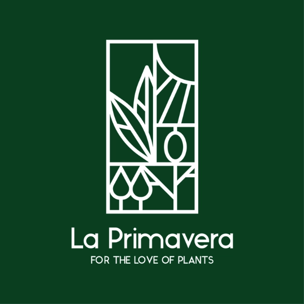 บริษัท ลา พรีมาเวร่า จำกัด บริษัท ลา พรีมาเวร่า จำกัด