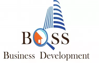Boss business development