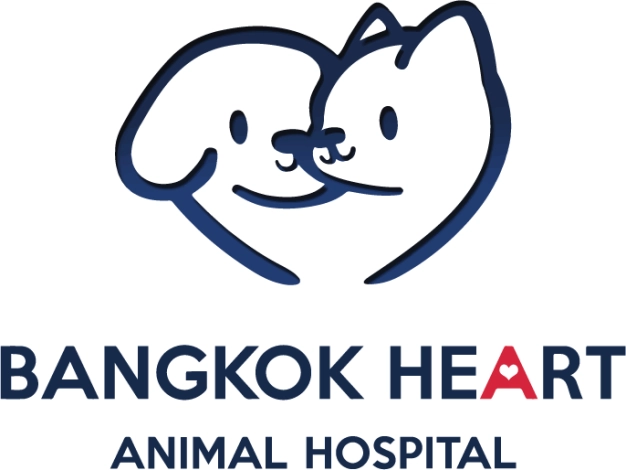 บริษัท บางกอกฮาร์ท จำกัด บริษัท บางกอกฮาร์ท จำกัด