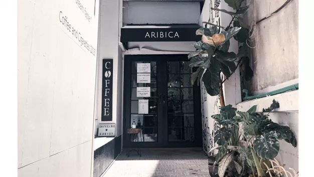 Aribica Specialty Coffee