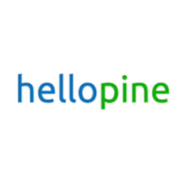 IT Support Engineer บริษัทเฮลโหลไพน์จำกัด