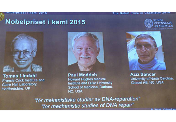 หางาน,สมัครงาน,งาน,3 นักวิจัยศึกษาการซ่อมแซม DNA ซิวโนเบลสาขาเคมี