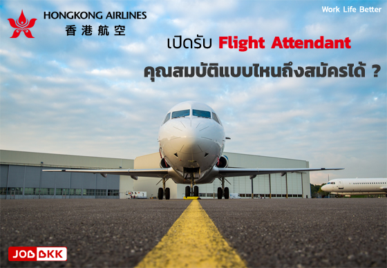 หางาน,สมัครงาน,งาน,Hongkong Airlines เปิดรับ Flight Attendant  คุณสมบัติแบบไหนถึงสมัครได้ ?